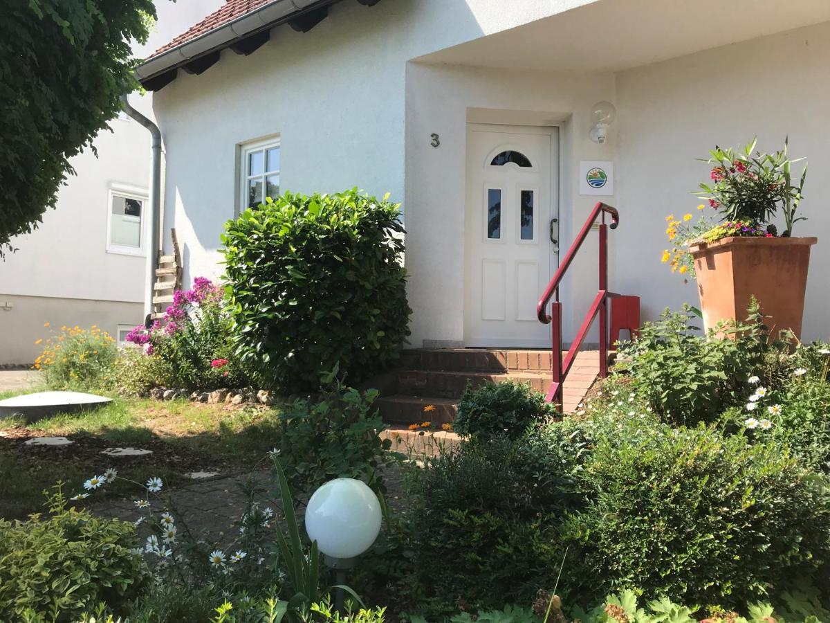 Wustrow  Ferienhaus Im Fischersteig מראה חיצוני תמונה